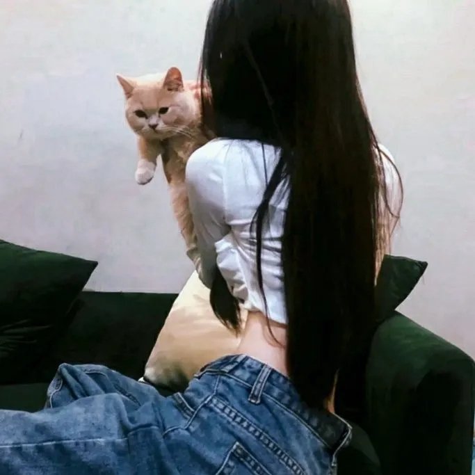 最后老窦